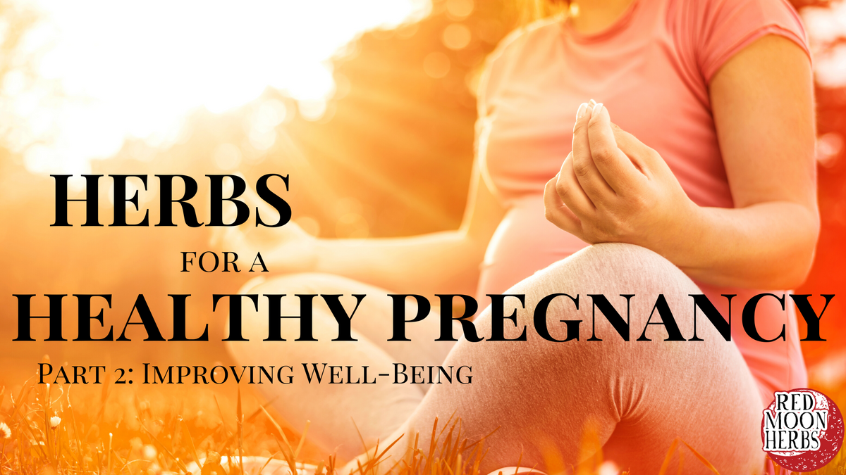 Herbs For A Healthy Pregnancy And Birth Part 2: Improving Well-Being ...