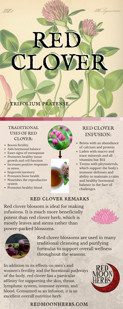 Red Clover Blossom Uses and Benefits