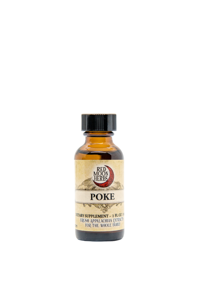 Poke Root (Phytolacca americana) Herbal Infused Oil for Lymph and Immune Health