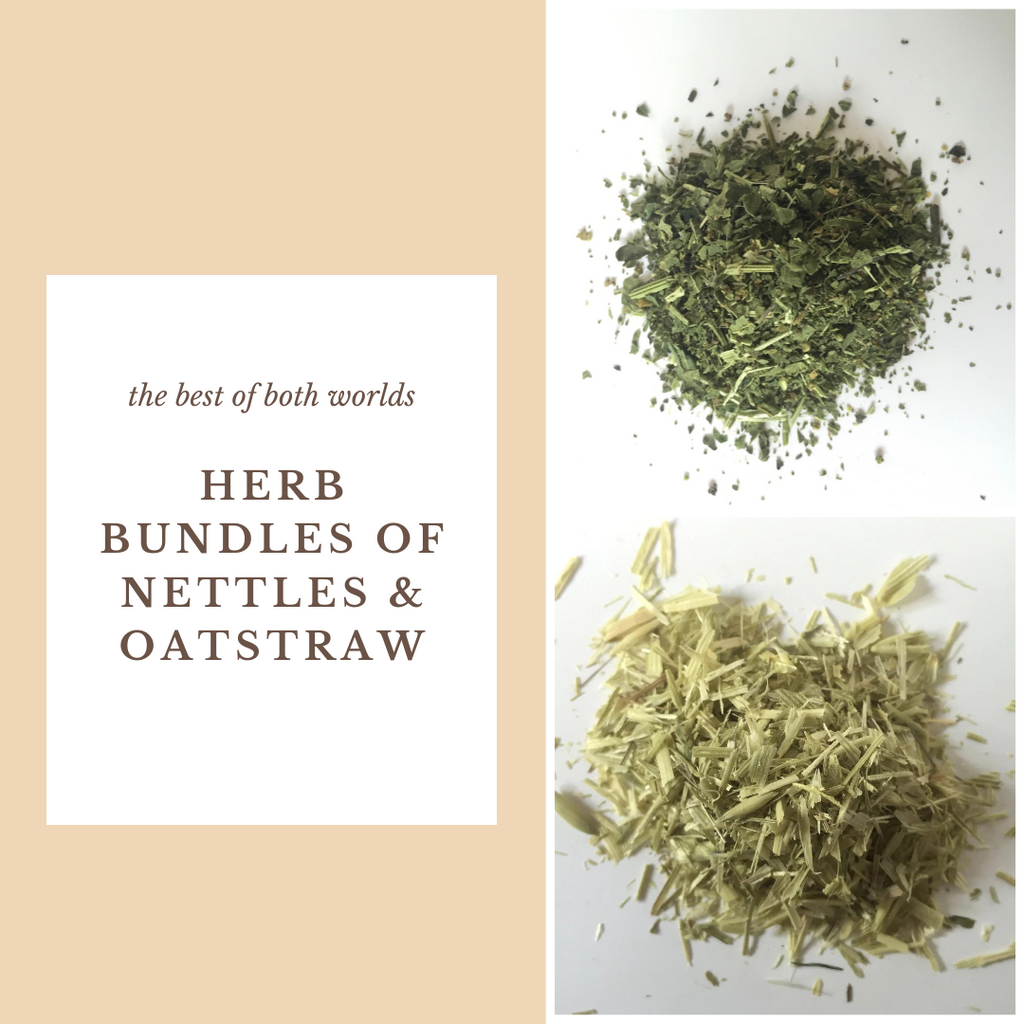 Dried Herb Bundle of Nettle (Urtica dioica) and Oatstraw (Avena sativa) for Nourishing Herbal Infusions and Teas