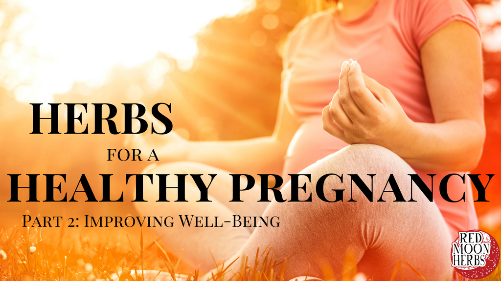 Herbs for a Healthy Pregnancy and Birth Part 2: Improving Well-Being