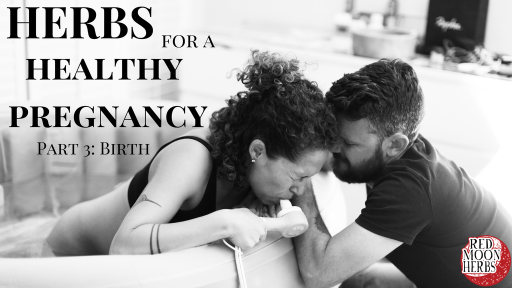 Herbs for a Healthy Pregnancy and Birth Part 3: Labor and Birth