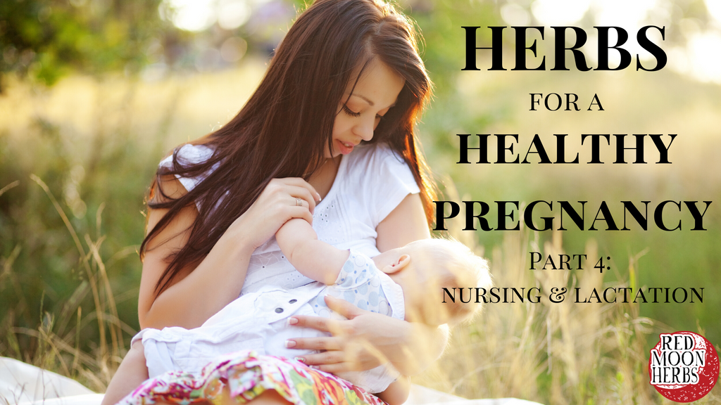 Herbs for a Healthy Pregnancy and Birth Part 4: Nursing and Lactation