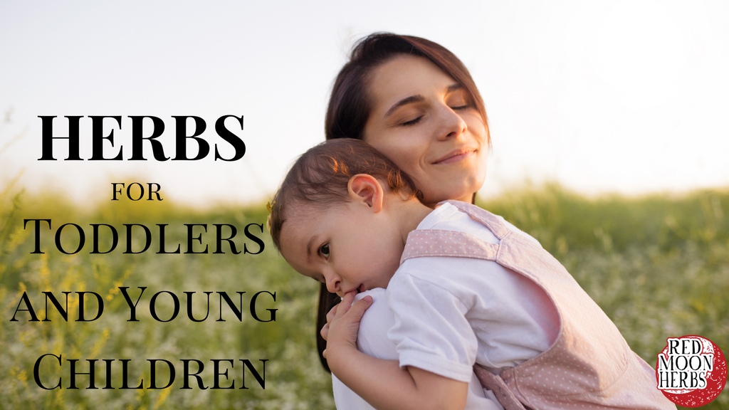Herbs for Toddlers and Young Children