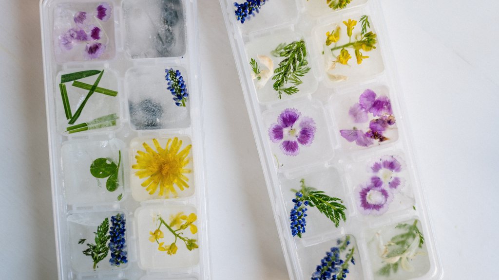 Keeping Your Cool with Herbs: Summer Allies for Heat & Stress