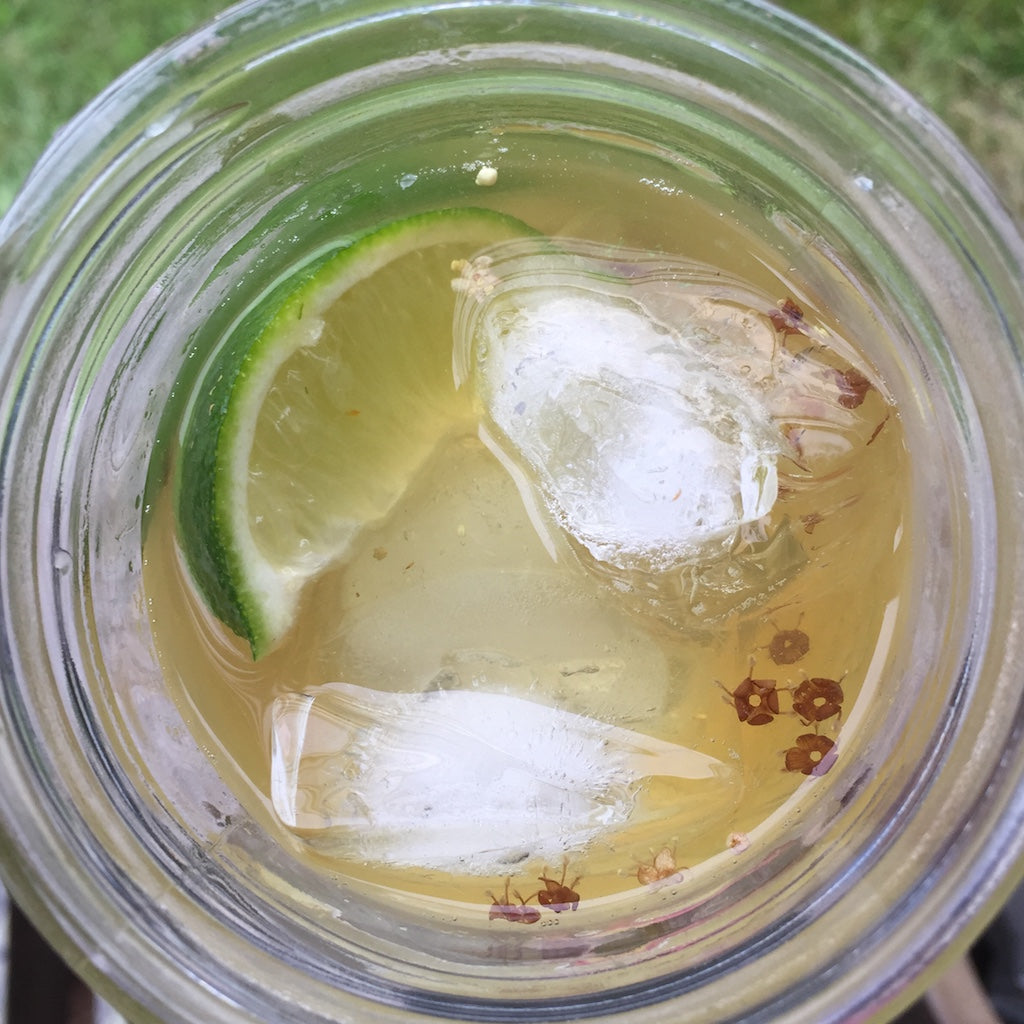 Linden Blossom Gin and Tonic Herbal Cocktail Recipe