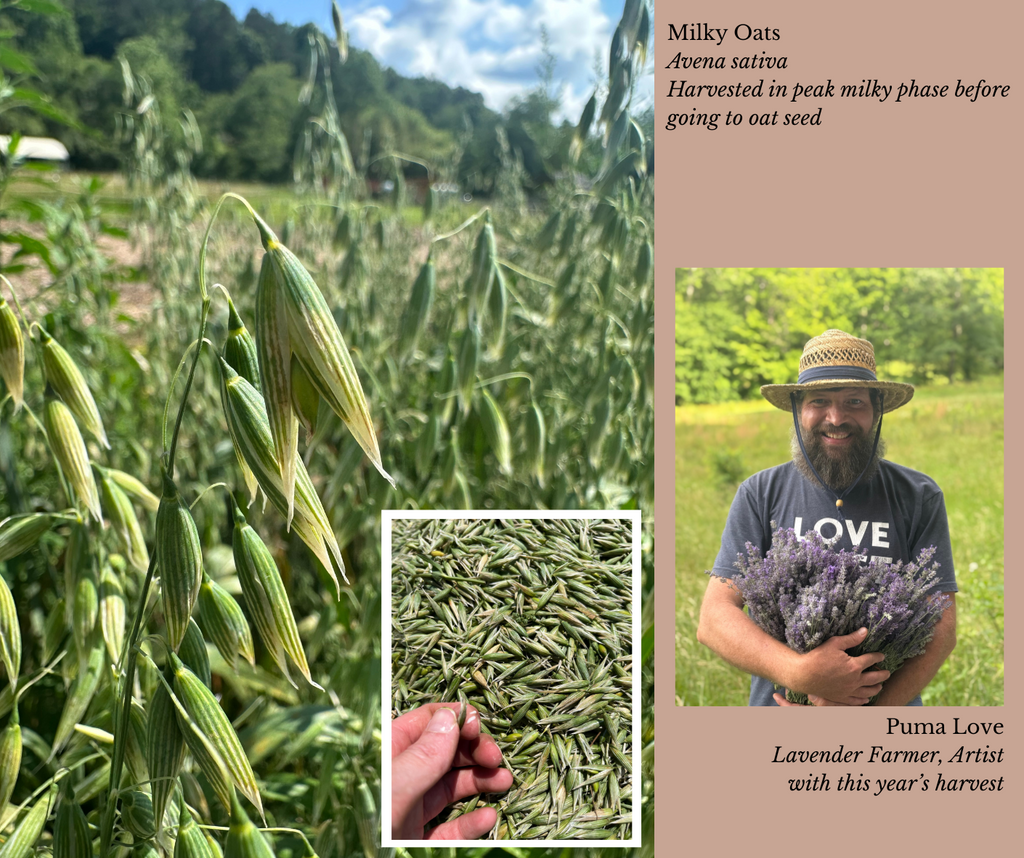 Right Plant, Right Place- Harvesting Ethics & Growing Requirements Affect Availability