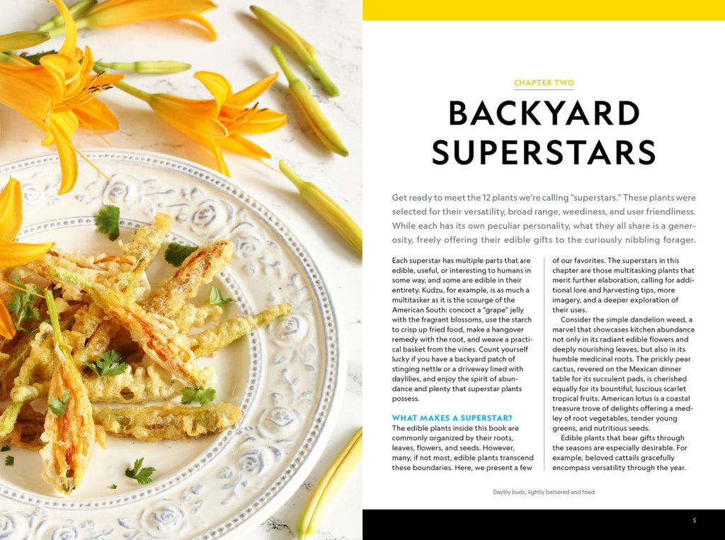 National Geographic Backyard Guide to Edible Wild Plants