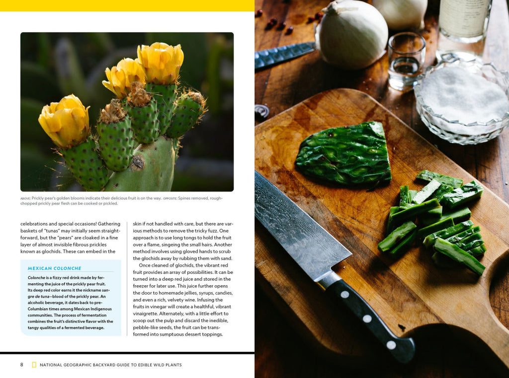 Prickly Pear Cactus National Geographic Backyard Guide to Edible Wild Plants