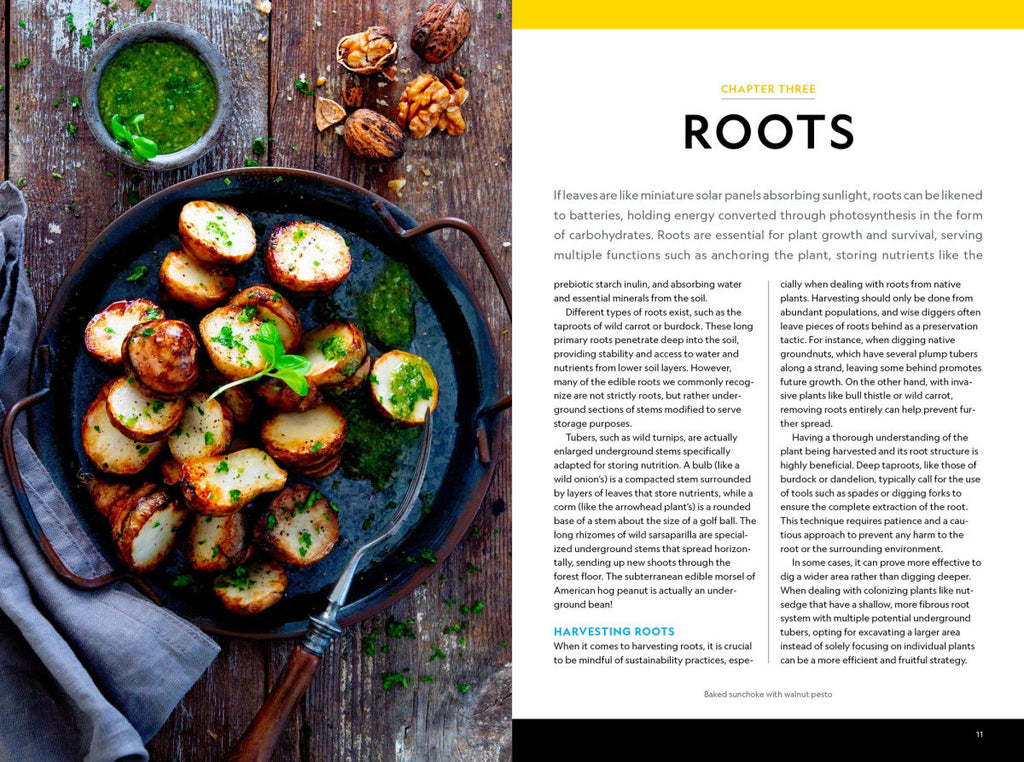 National Geographic Backyard Guide to Edible Wild Plants