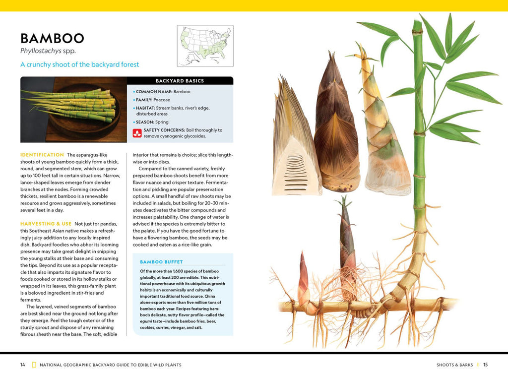Bamboo National Geographic Backyard Guide to Edible Wild Plants