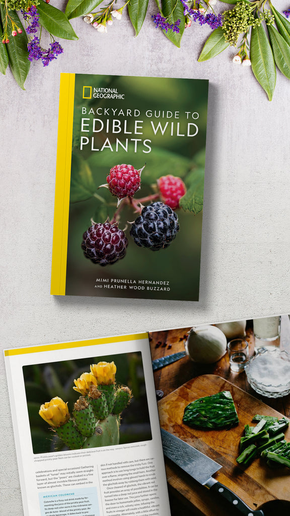 National Geographic Backyard Guide to Edible Wild Plants