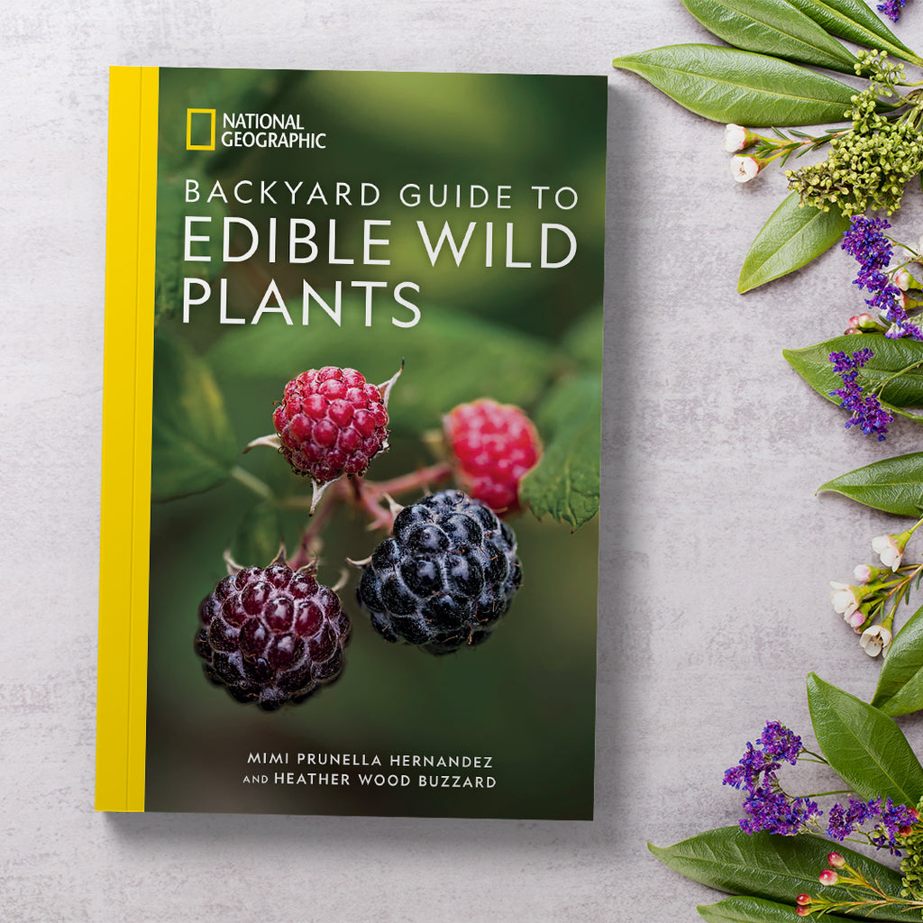 National Geographic Backyard Guide to Edible Wild Plants
