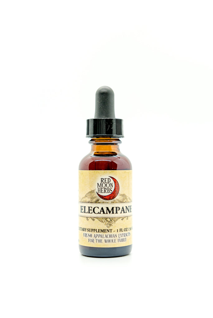 Elecampane (Inula helenium) Herbal Extract Bottle for Respiratory Health