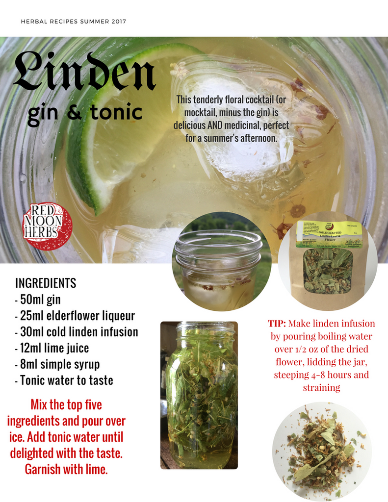 Linden Flower Blossom Gin & Tonic Herbal Cocktail Recipe