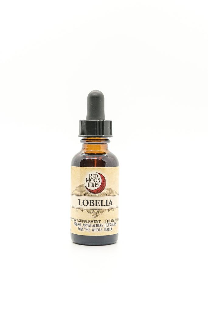 Lobelia (Lobelia inflata) Herbal Extract for Respiratory Health