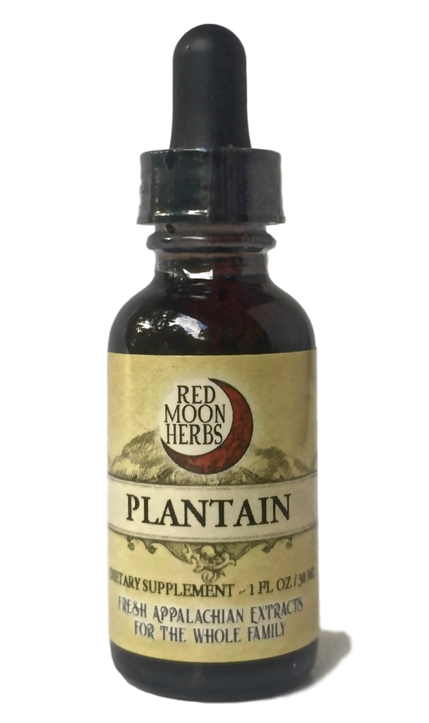 Plantain (Plantago major/lanceolata) Herbal Extract for Skin, Lung, and Respiratory Health