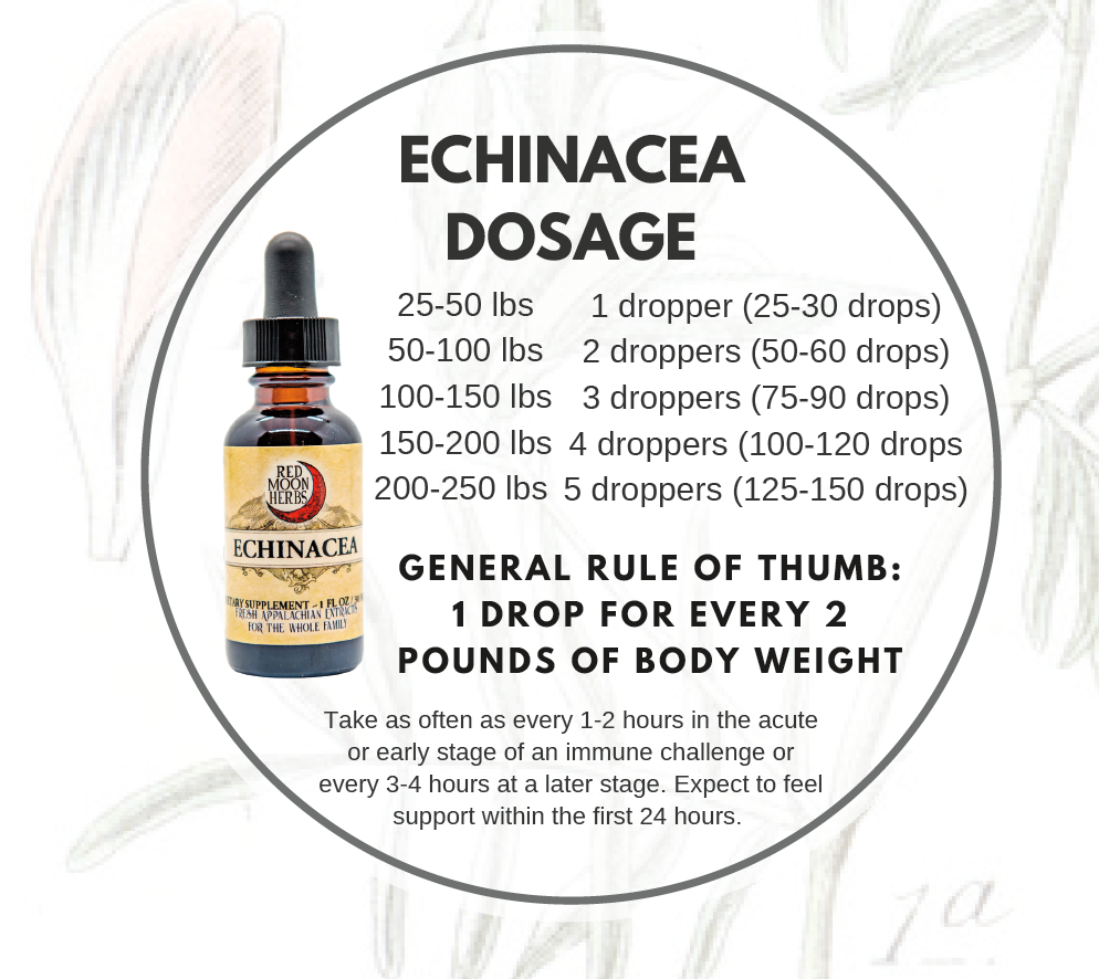 Echinacea (Echinacea purpurea/angustifolia) Dosage Chart for Children and Adults