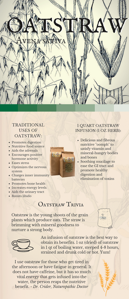 Oatstraw (Avena Sativa) Herbal Tea Infusion Uses and Benefits