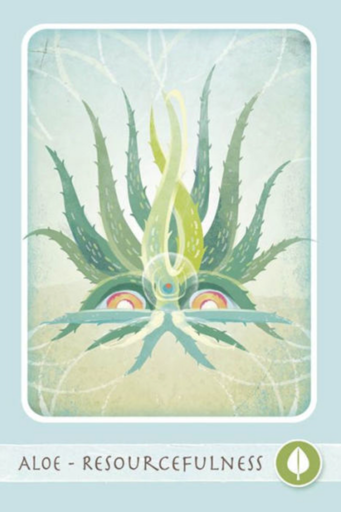 The Herbal Healing Deck Tarot Cards Aloe