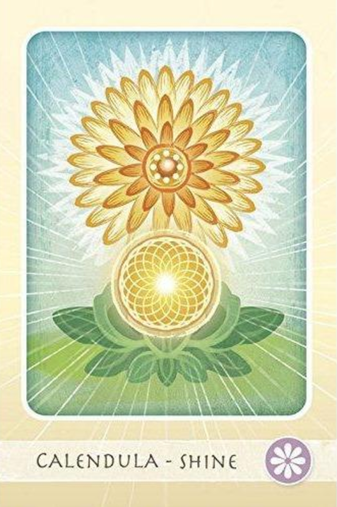 The Herbal Healing Deck Tarot Cards Calendula