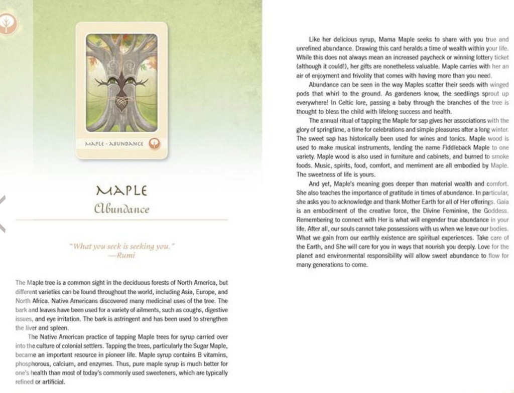 The Herbal Healing Deck Tarot Cards Maple