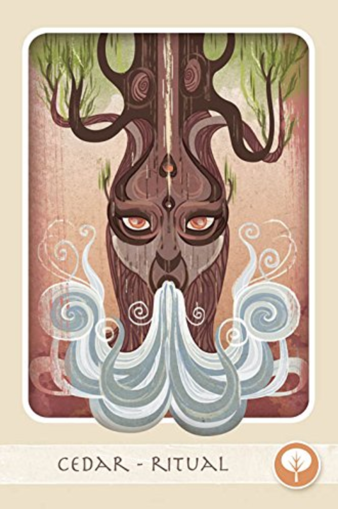 The Herbal Healing Deck Tarot Cards Cedar
