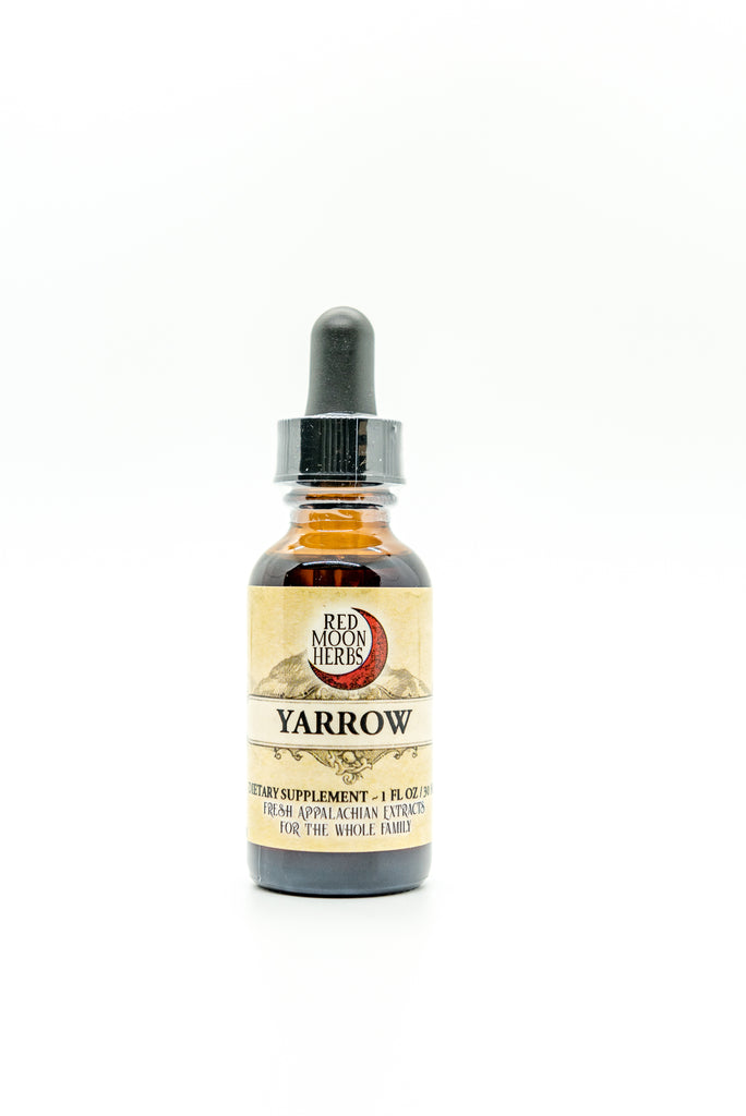 Yarrow (Achillea millefolium) Herbal Extract for Immune Health, Digestion, and Bug Repellent