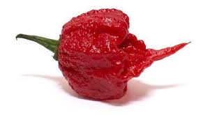 Carolina Reaper Hot Pepper for Pain and Inflammation