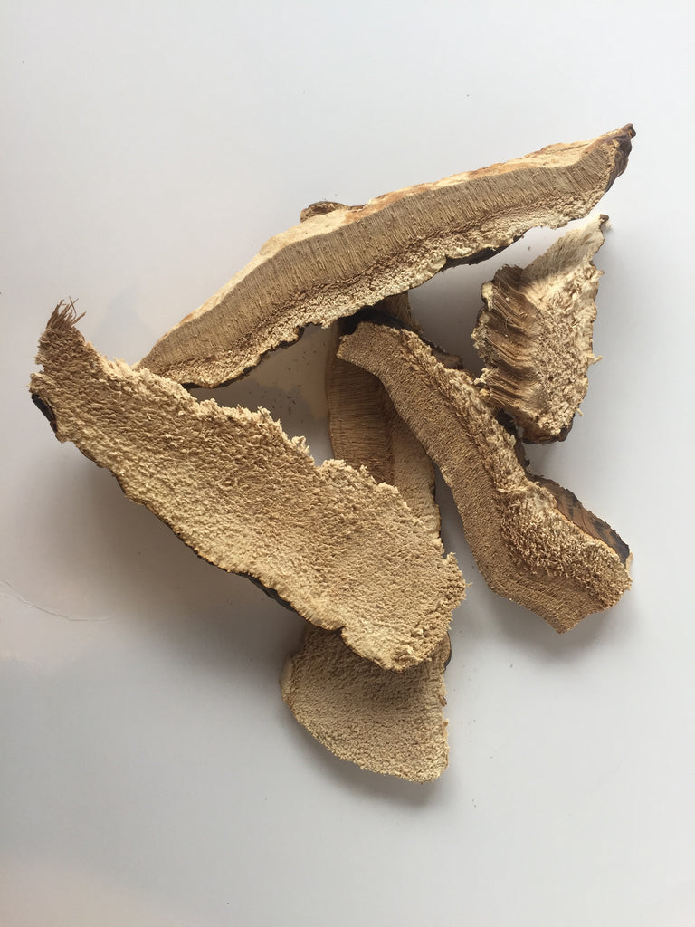 Reishi (Ganoderma lucidum/tsugae) Dried Wild Mushroom Fruiting Body Cap
